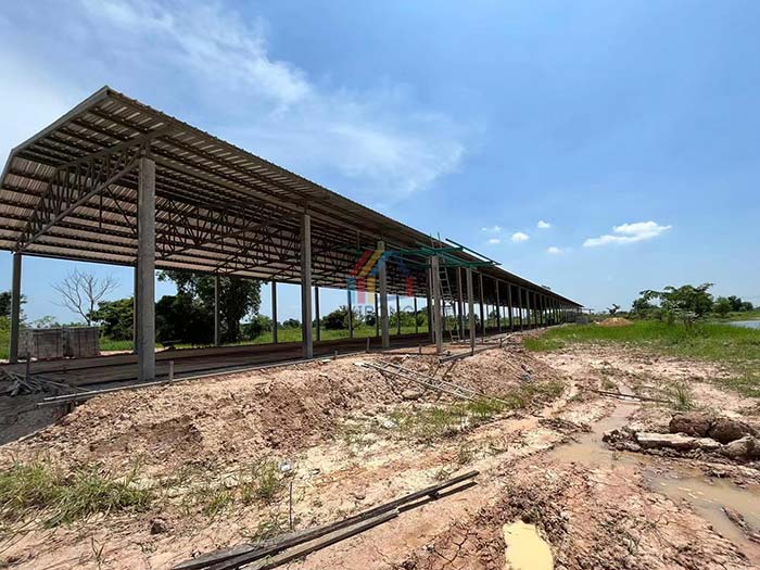 steel structure chicken shed