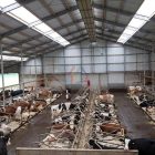 Construction and design of steel structure cowshed