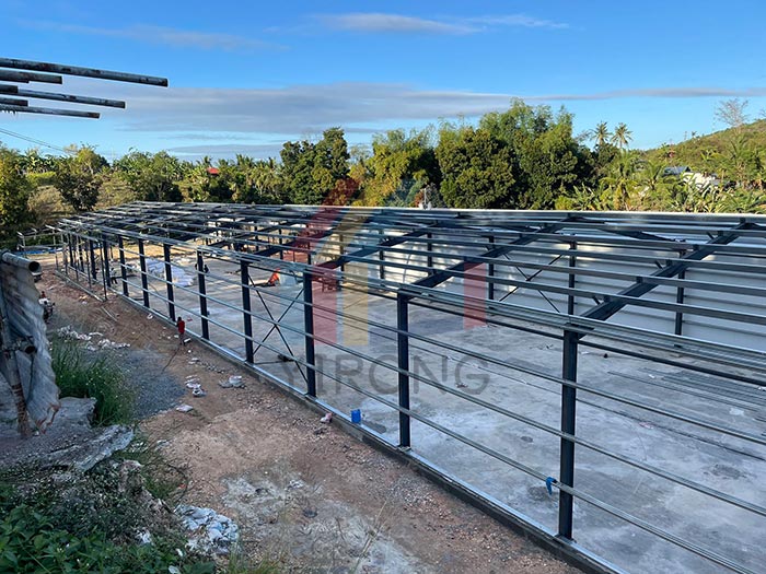 steel structure chicken shed