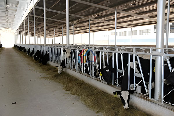 steel cowshed shelter